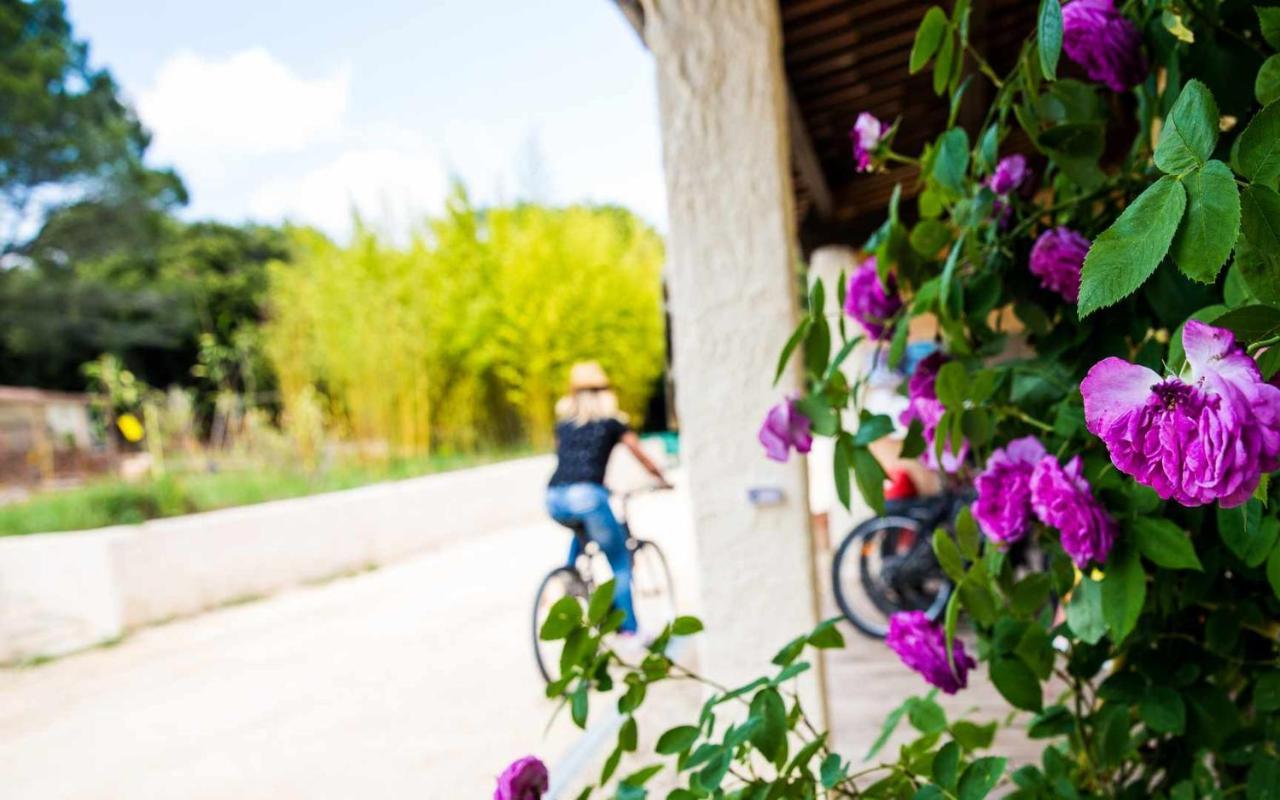 Camping Mille Étoiles Labastide-de-Virac Extérieur photo